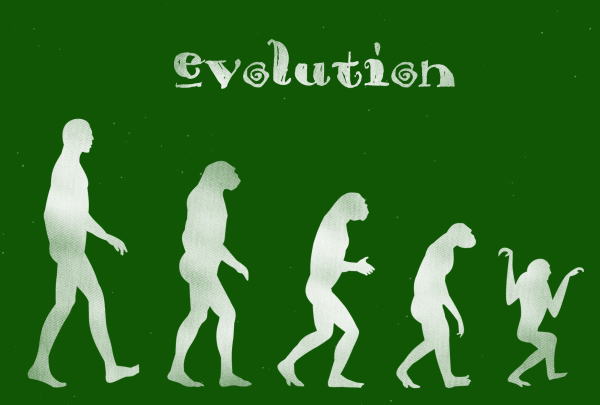 ヒトの進化